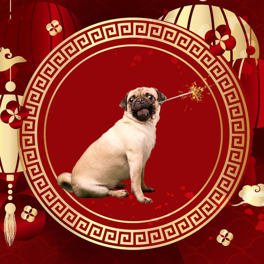 Chinese New Year food for pets