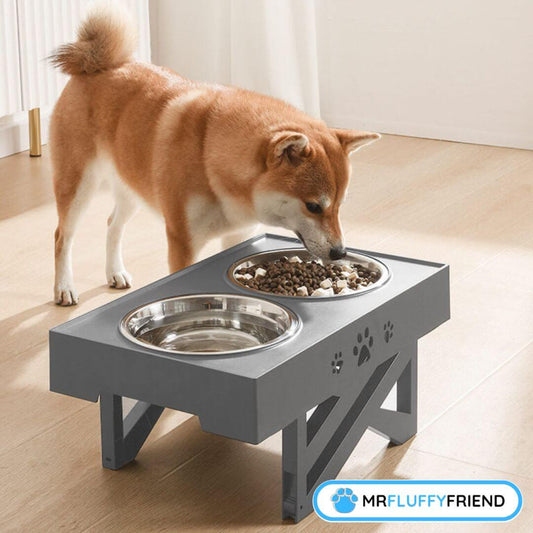 best bowls for dogs