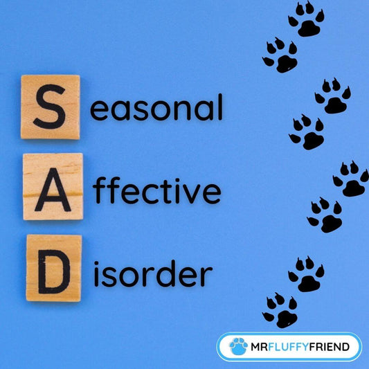can pets get seasonal affective disorder?