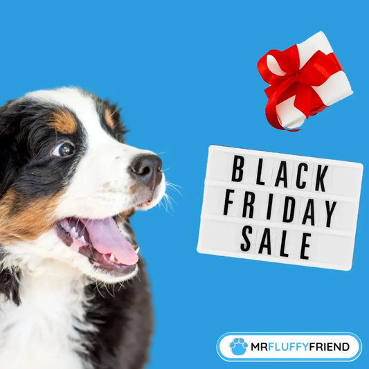 black friday deals for pets