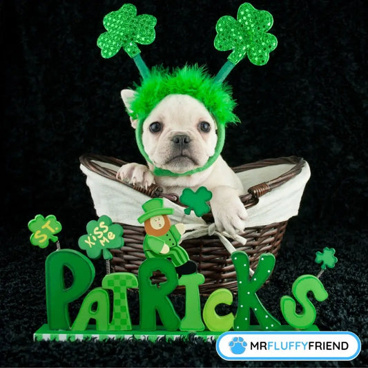 irish names for dogs