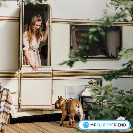 Featured images for blog, "Finding the Best Dog Breed for Van Life: Complete Guide" with a woman and a French Bulldog entering an RV through an open door