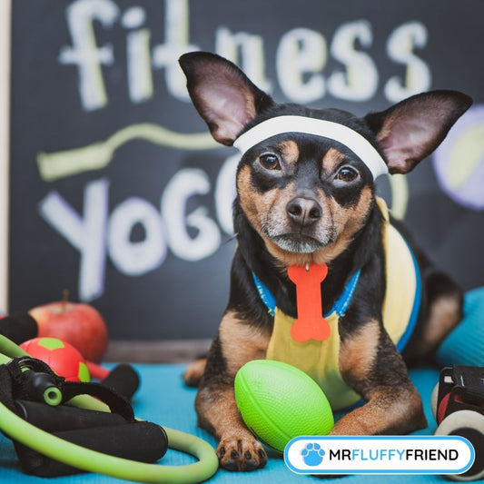 separation anxiety exercise