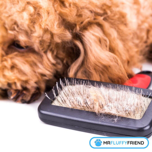 how to detangle matted dog hair