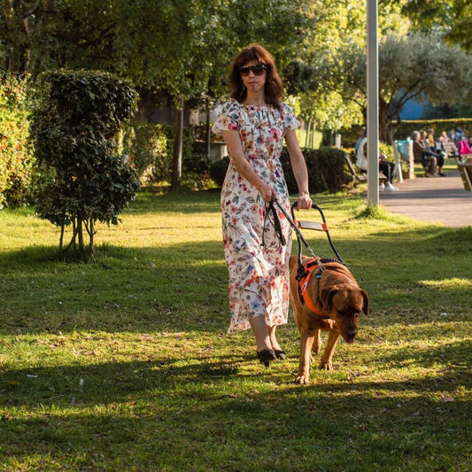 what do service dogs help with