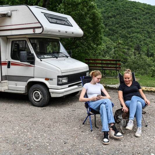 best dog breed for van life