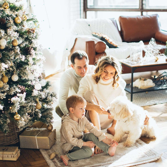 christmas safety for pets