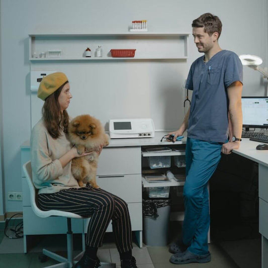 Spaying and Neutering