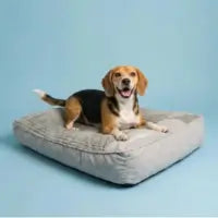 Photo of Calming dog cushion